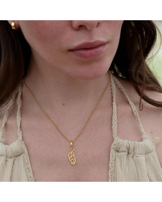 Lily Charmed Metallic Plated Small Feather Charm Necklace