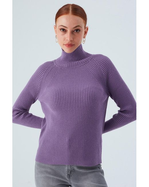 Peraluna Purple High Mock Neck Cashmere Blend Ribbed Knit Pullover