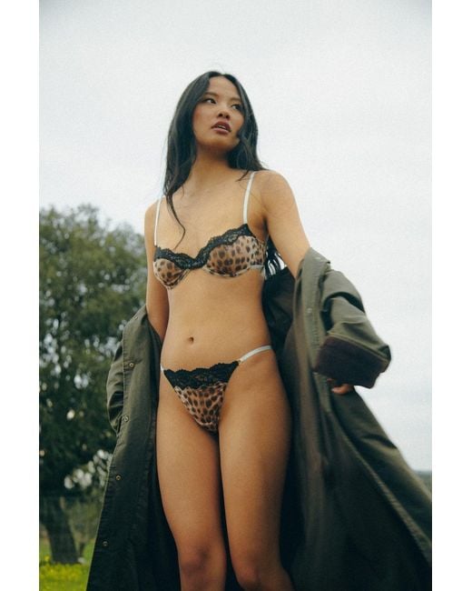 Wild Lovers Black Lyra Thong
