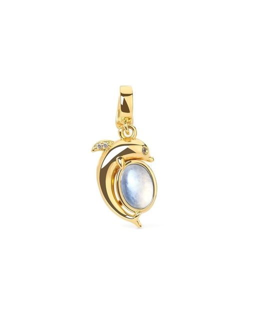Freqnc Atelier Metallic Mini Dolphin Charm