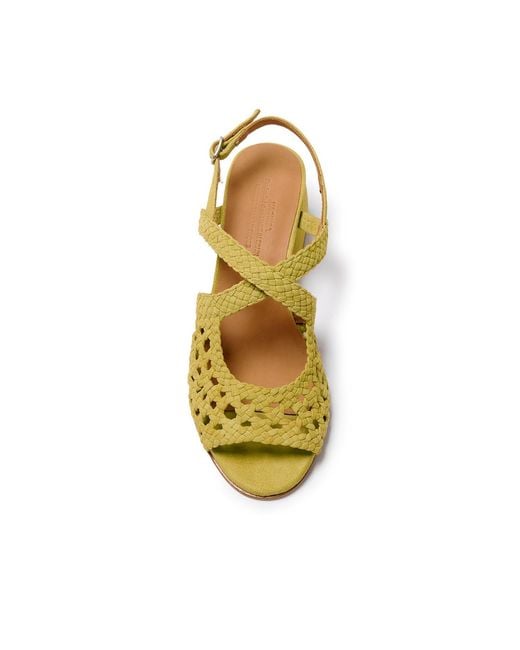 Naguisa Yellow Uga Rounded Pistachio
