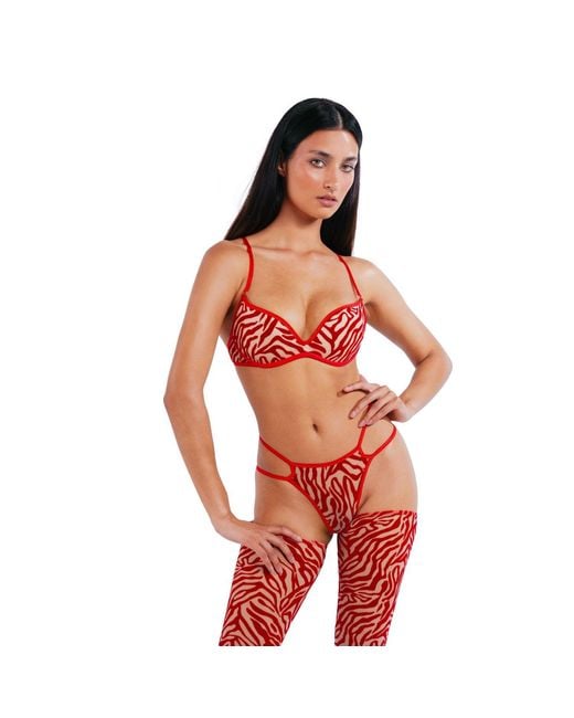 Perilla Lingerie Red Kylie Monocup Bra Push Up