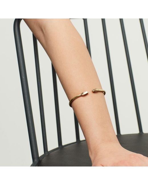 Zeworks Metallic Serpent Bracelet