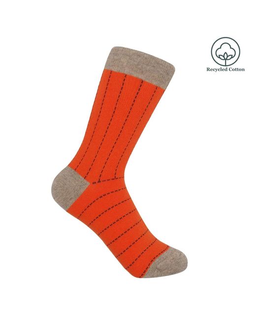 Peper Harow - Made in England Red Dash Socks Bundle – Coral