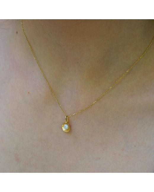 Mother Nature Jewelry Metallic Sea Shell & Pearl Necklace, Handmade Minimalist Pendant