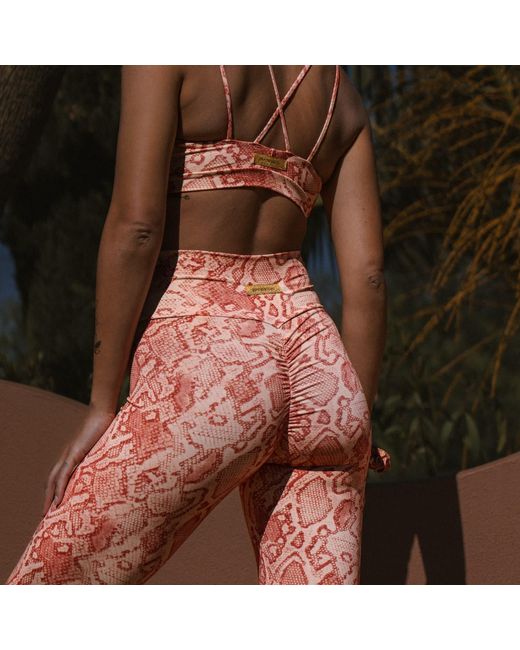 Befitnesslou Orange Coral Snake Legging