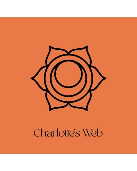 Charlotte's Web Jewellery Metallic Sacral Chakra Necklace for men