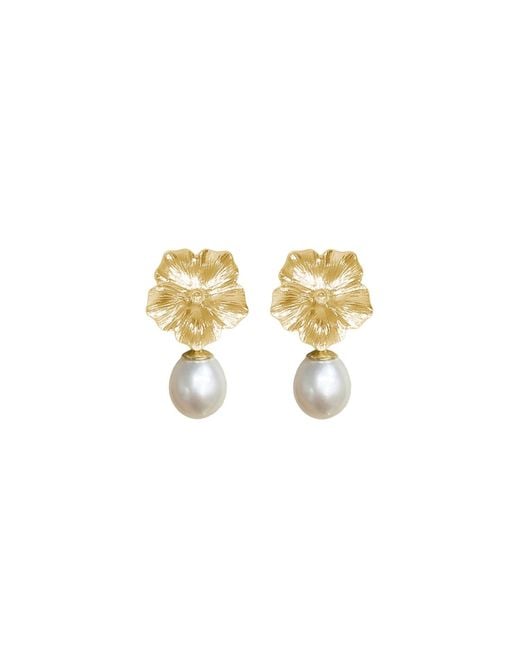 Agora Jewellery Metallic Bavella Pearl Earrings