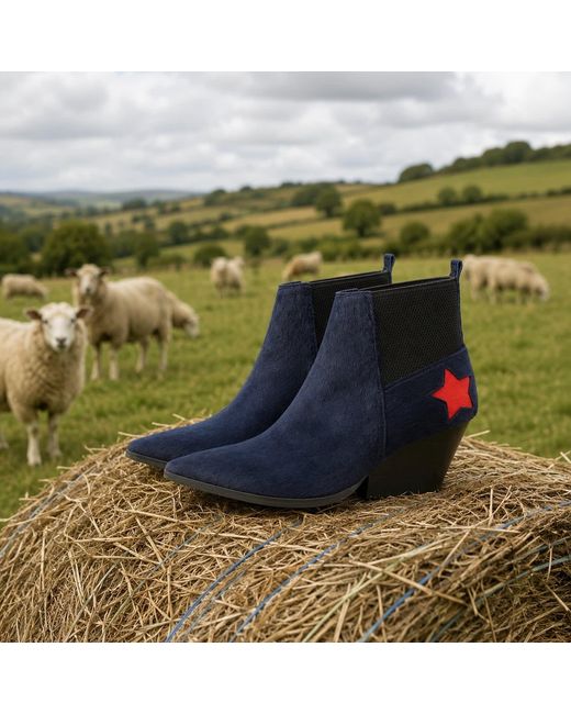 Rosamund Muir London Blue Felixa Calf Hair With Star Ankle Boots