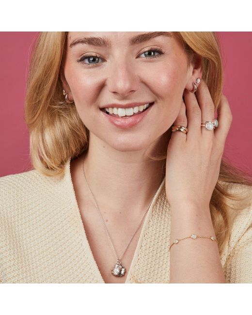 Auree Jewellery Metallic Gaia Oyster Shell And Pearl Necklace