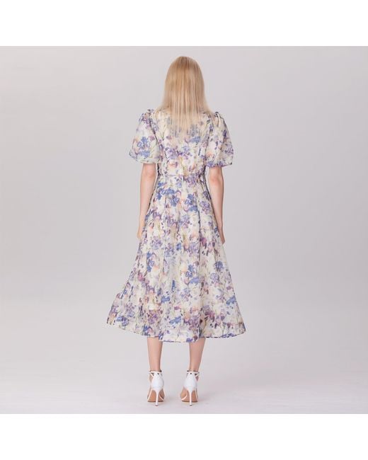 Smart and Joy Multicolor Neutrals Flower Print Fit-And-Flare Tea Organza Dress