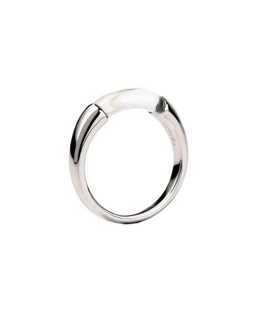Zynnia Collective Metallic Split Ring
