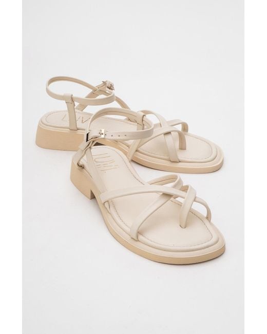 Forever & Always Shoes Metallic Neutrals Antas Leather Sandals