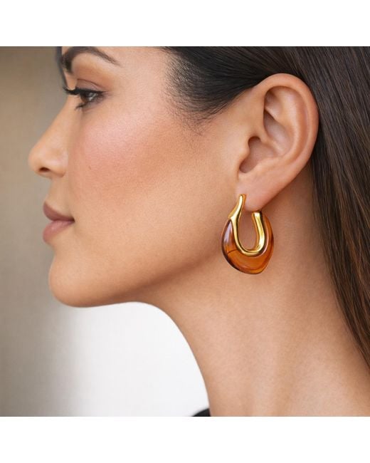 Hye Jane Jewelry Metallic Gaia Tortoise Resin Hoop