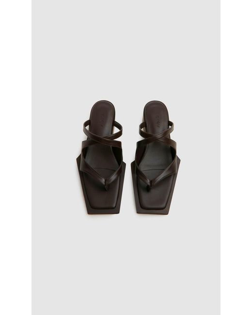 PREVU Black Karel Mule