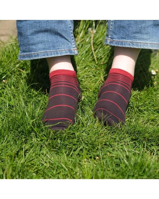 Peper Harow - Made in England Red Trainer Socks Bundle – Burgundy for men