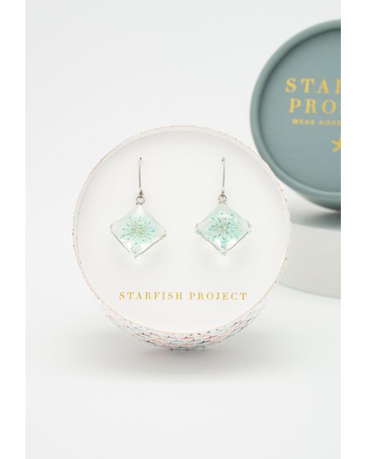 Starfish Project Green Forever