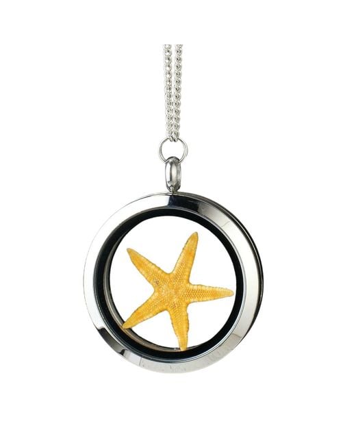 My Little Nature Metallic Necklace With Starfish