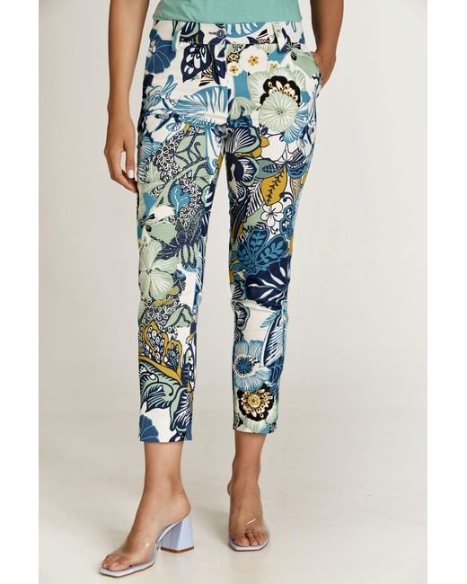 Conquista Blue Floral Cotton Pants