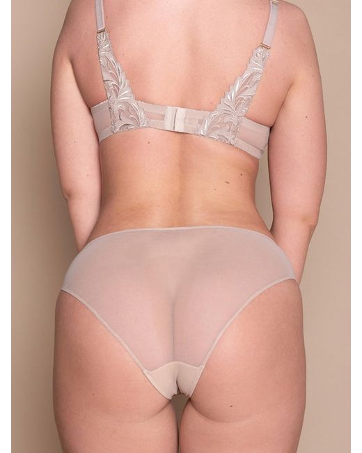 BonBon Lingerie Natural Neutrals Carmela Full Brief