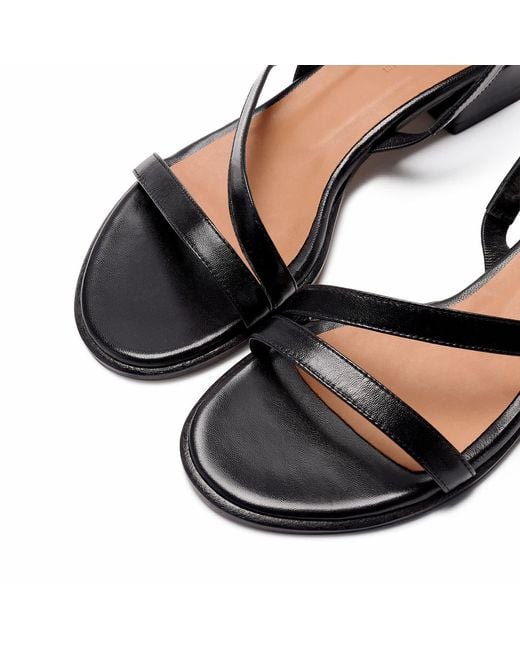 Naguisa Black Laredo