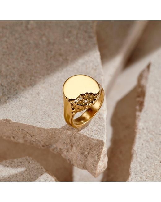 Posh Totty Designs Metallic Strata Oval Signet Ring for men