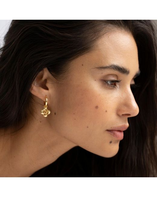 SEREIA OFFICIAL Metallic Camilla Earrings