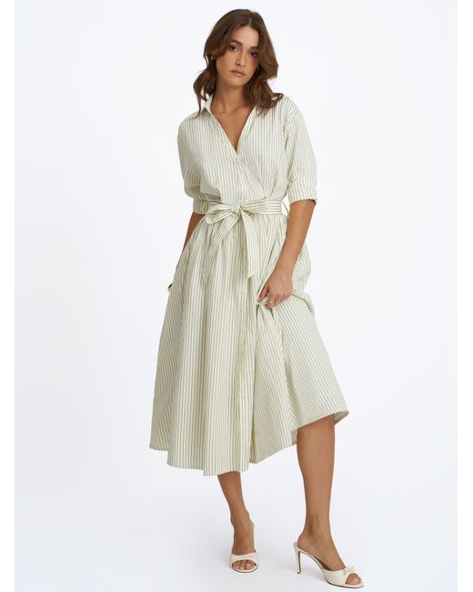 Miss Circle New York Gray Danica Pine Bamboo Poplin Striped Shirt Midi Dress