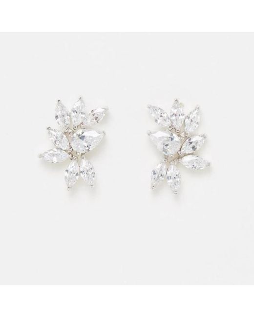Stephanie Browne Australia Metallic Twilight Earrings