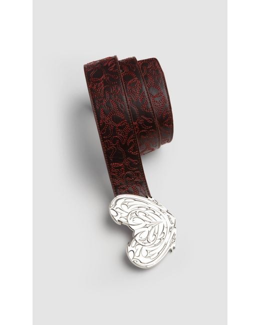 PREVU Brown Regan Belt