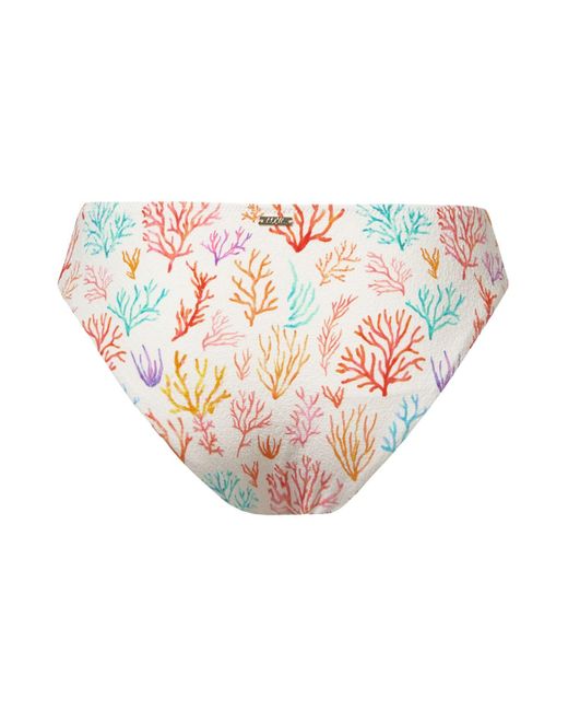 Aqva Swimwear White Coral Print Salinas Bikini Bottom