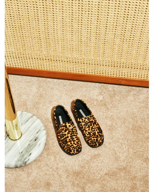 Blankens Brown The Celeste Leopard