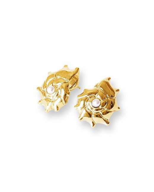 Classicharms Metallic Leah Shell Stud Earrings