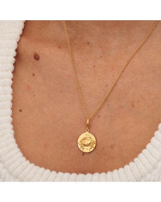 Lily Charmed Metallic Plated Cancer Zodiac Charm Necklace