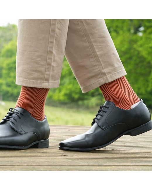 Peper Harow - Made in England Multicolor Lux Taylor Socks Two Pack for men