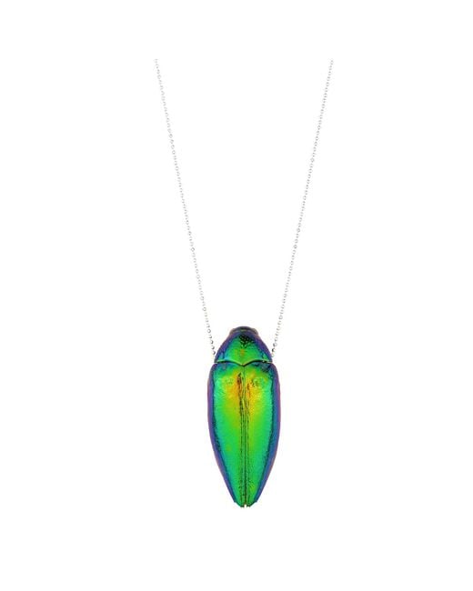 Oana Savu Green Sterling Necklace Real Beetle Insect Pendant