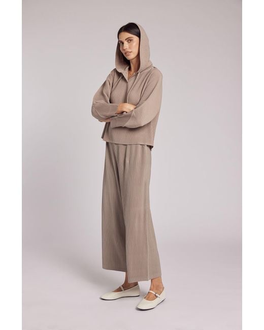 Wild Cosmos Brown Neutrals Vivian Hooded Double Knit Plissé Pull Over
