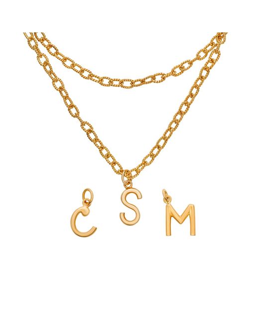 Preeti Sandhu Metallic Monogramed Link Necklace