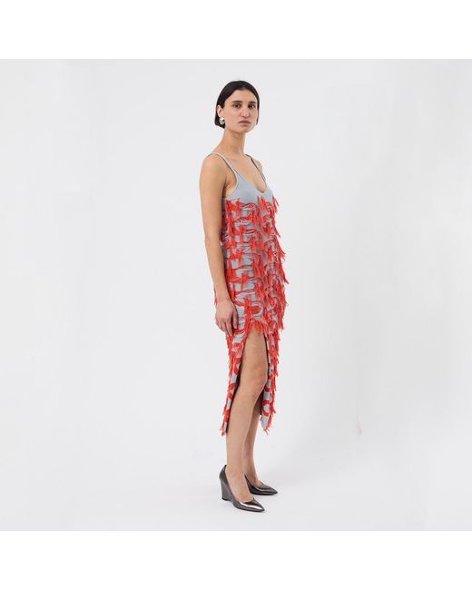 Ccy Currency Red Cotton Fringe Dress