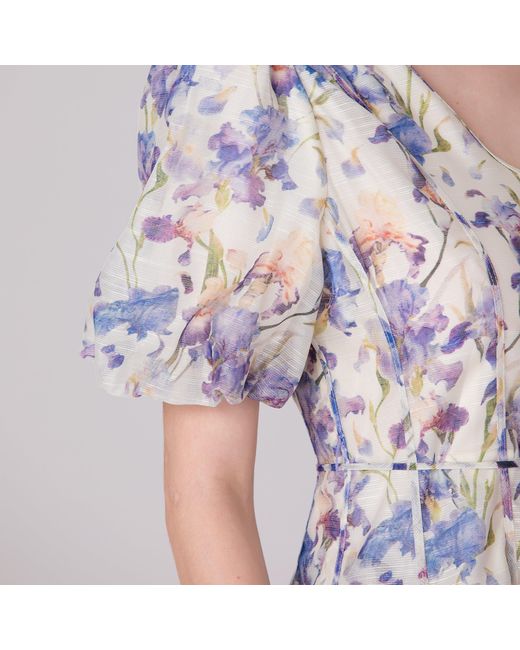 Smart and Joy Multicolor Neutrals Flower Print Fit-And-Flare Tea Organza Dress