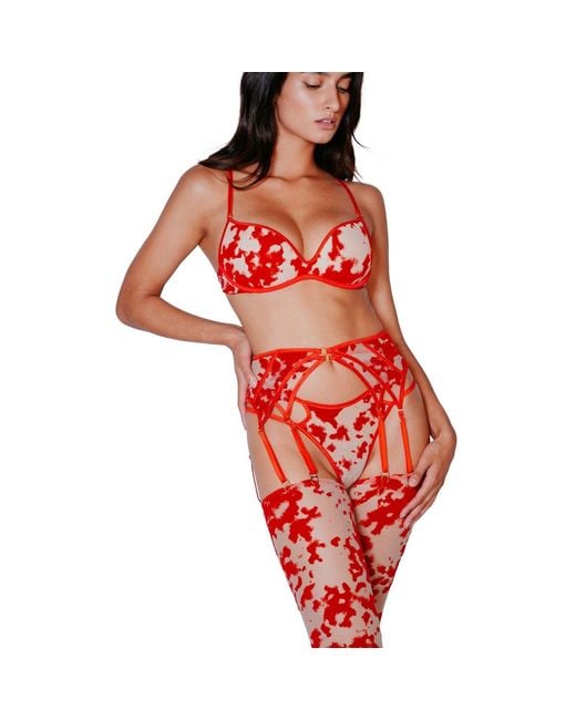 Perilla Lingerie Red Harlow Bra Monocup Push Up