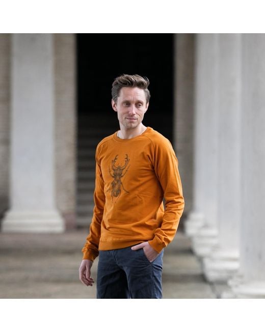 GROBUND Brown The Organic Melvin Sweatshirt for men