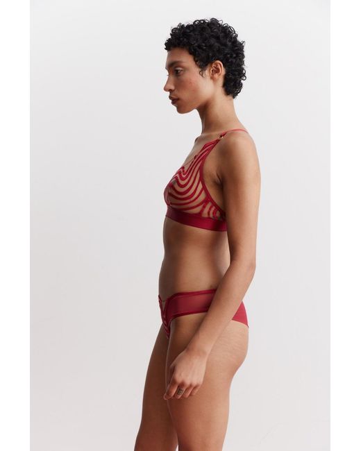 Somewhere Never Red Making Waves Brazilian Brief