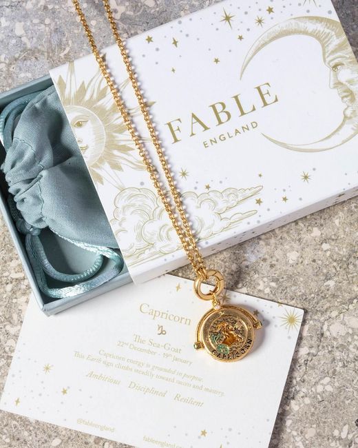Fable England Metallic Capricorn Zodiac Spinner Necklace