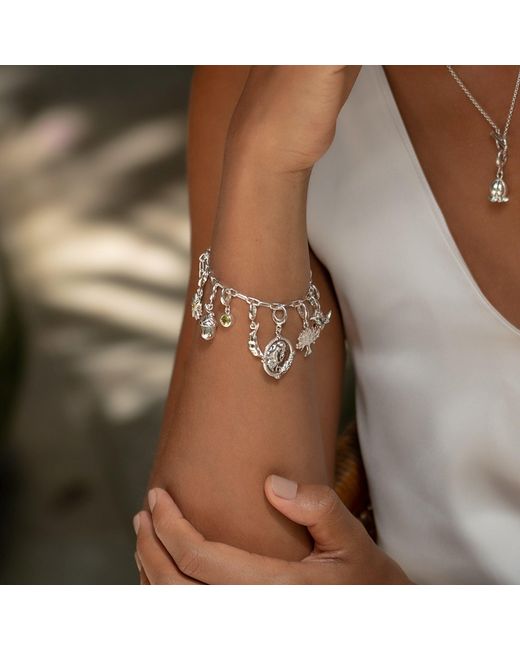 Lily Charmed Metallic Sterling Oval Link Charm Bracelet