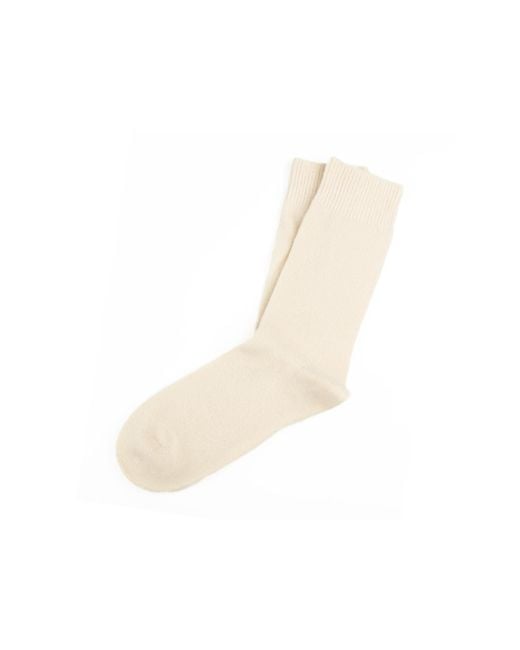 Do not Wear this! Pink Neutrals Country Oat Socks