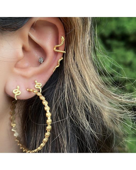 Jagged Halo Jewelry Metallic Serpent Stud Earrings