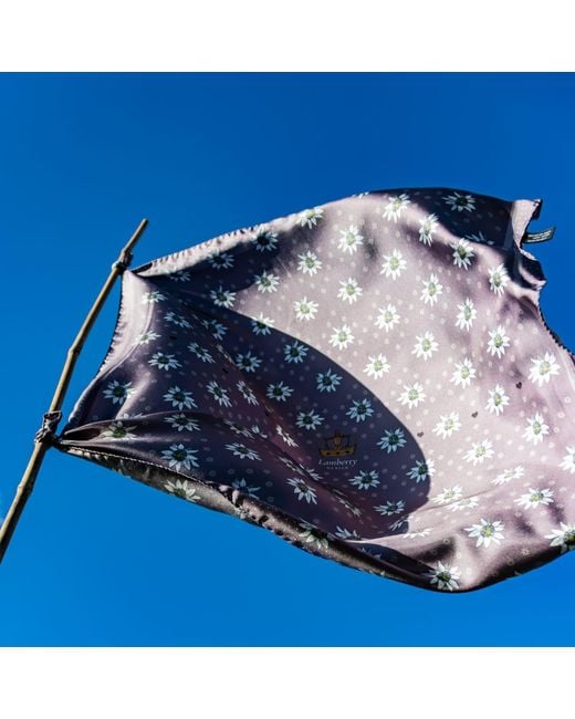 Lamberty Munich Purple Alpine Edelweiss Midi Silk Scarf