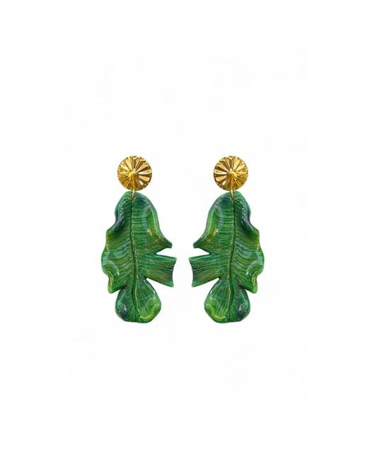 Sunset Magic Studio Green Banana Palm