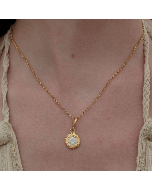 Lily Charmed Metallic Plated Sunflower Charm Necklace